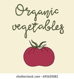 Organic Vegetables. Organic products vector illustration for local vegetables market. Vector hand drawn farm market Illustration. 