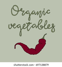 Organic Vegetables. Organic products vector illustration for local vegetables market. Vector hand drawn farm market Illustration. 