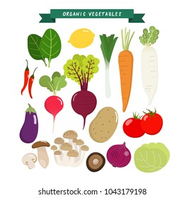 Organic Vegetables vector.