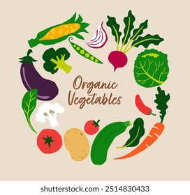 Vegetais orgânicos visuais. Ilustrações feitas à mão de vegetais orgânicos coloridos, saudáveis e felizes.