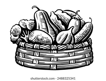 Verduras orgánicas en cesta de mimbre. Comida vegetariana de granja. Dibujo dibujado a mano en Ilustración vectorial de estilo de grabado