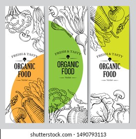 Organic Vegetarian Food Banner, Roll Up Standee Design Template, Hand Drawn Illustration