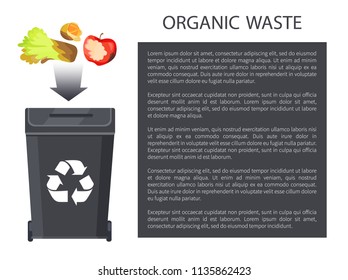 Organic waste being thrown in black bin having recycle sign, rotten apple, salad orange, poster and editable text sample in box vector illustration