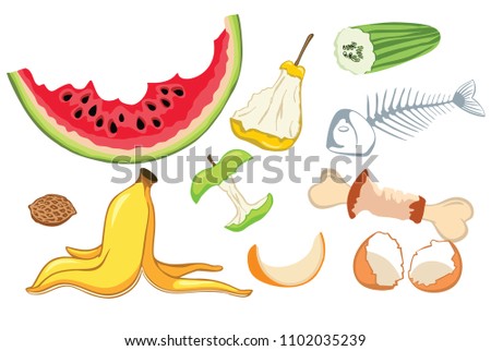Organic waste, food compost collection isolated on white background. Banana and watermelon rind, fish bone and apple stump vector illustration