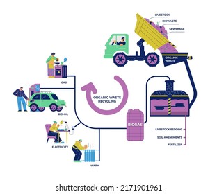 Organic waste recycling and biogas division infographic, flat vector illustration isolated on white background. Renewable natural resources eco concept.