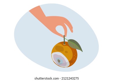 Organic waste template. Human hand holding Bad rotten Orange fruit isolated on white. Citrus fruit becomes spoiled. Food waste. Rotten Orange with Stinky Rot. Bad smell from mold on Citrus
