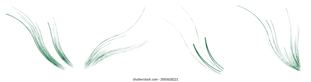 Organic weed, grass like curvy, wavy lines