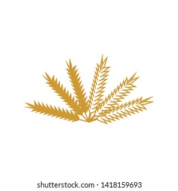 Organic wheat farm vector icon