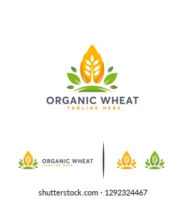 Organic Wheat Logo designs concept vector, Modern Wheat Grain symbol, Agriculture logo symbol