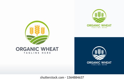 Organic Wheat Logo designs concept vector, Modern Wheat Grain symbol, Agriculture logo symbol