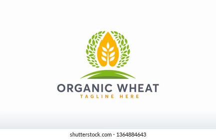 Organic Wheat Logo designs concept vector, Modern Wheat Grain symbol, Agriculture logo symbol