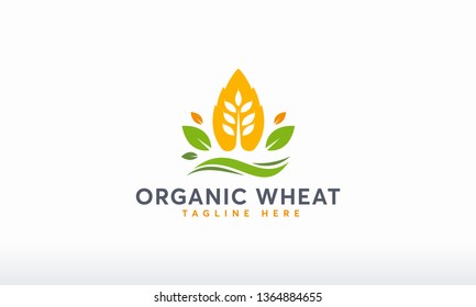 Organic Wheat Logo designs concept vector, Modern Wheat Grain symbol, Agriculture logo symbol