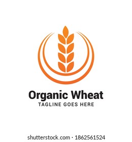 Organic wheat logo vector template.