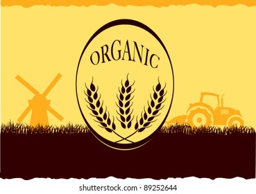 Organic wheat product design