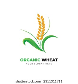 Organic wheat vintage logo design vector template