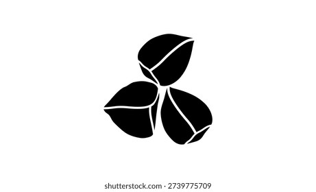 Organic Wingless Moringa seeds, black isolated silhouette