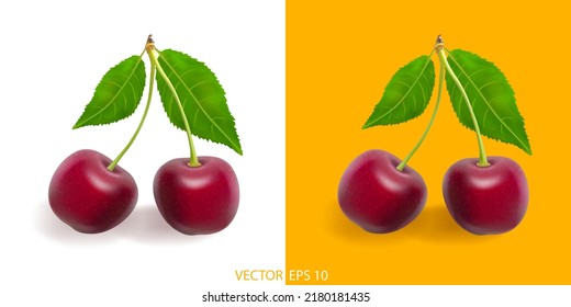 Organicl cherry, great design for any purposes. Vector illustration. Cherry isolated.