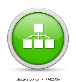 organisation chart   icon