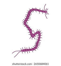 desenho animado do parasita do organismo. protozoários da transmissão, nemátodo do helminto, tênia fluke sinal do parasita do organismo.