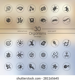 organisms modern icons for mobile interface on blurred background