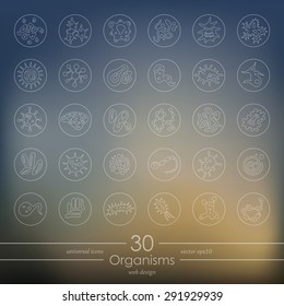 organisms modern icons for mobile interface on blurred background