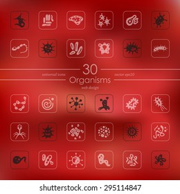 organisms modern icons for mobile interface on blurred background