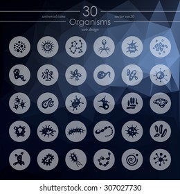 organisms modern icons for mobile interface on triangle background
