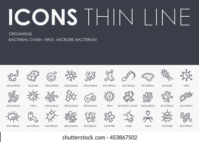 Organisms Thin Line Icons