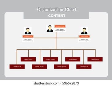 Organization Chart 