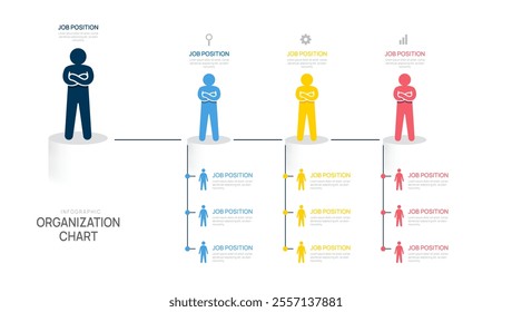 organization chart hierarchy Infographic template for  with business avatar icons. vector illustration.