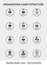 Organization chart icon and structure vector illustration