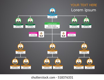 Organization Chart Info Graphics 