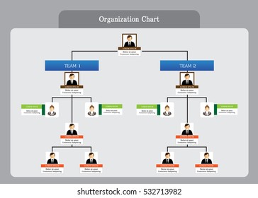 Organization Chart Info graphics 