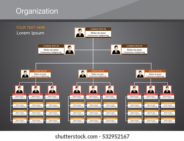Organization Chart Info graphics 