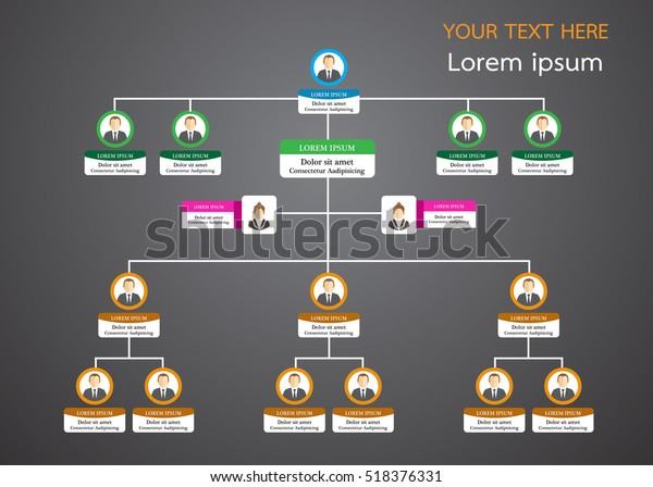 Organization Chart Info Graphics Stock Vector (Royalty Free) 518376331