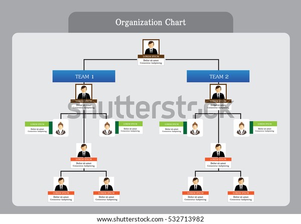 Organization Chart Info Graphics Stock Vector (royalty Free) 532713982