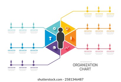 organization chart Infographic Hexagon template with business avatar icons. vector illustration.