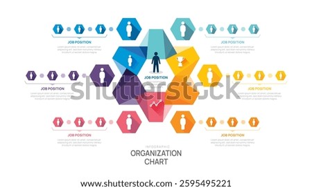organization chart Infographic hexagon template for business avatar icons.