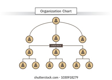 Organization Chart Infographics 
