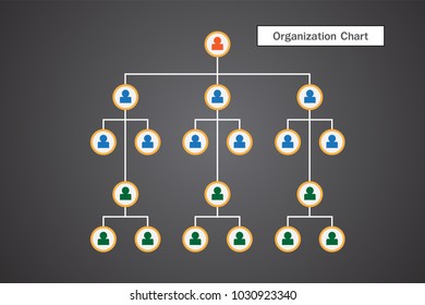 Organization Chart Infographics 
