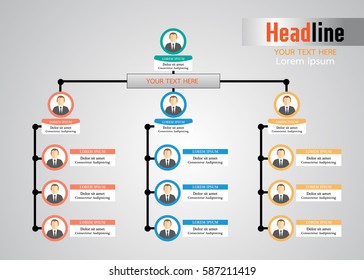 Organization Chart Infographics 