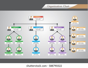 Organization Chart Infographics 