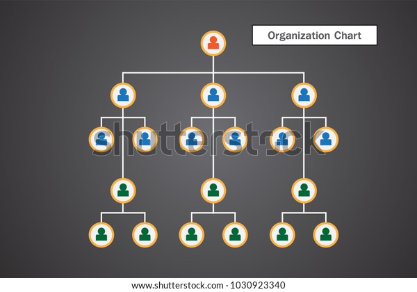 Organization Chart Infographics Stock Vector (royalty Free) 1030923340 