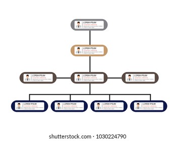 Organization Chart Infographics with People Icon and Abstract Line, Business Structure, Hierarchy of employees, org  Vector Illustration.