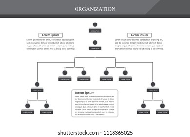 Organization Chart Infographics with People Icon and Abstract Line, Business Structure, Hierarchy of employees, org  Vector Illustration.