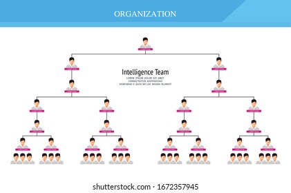 Organization Chart Infographics with People Icon and Abstract Line, Business Structure, Hierarchy of employees, org  Vector Illustration.