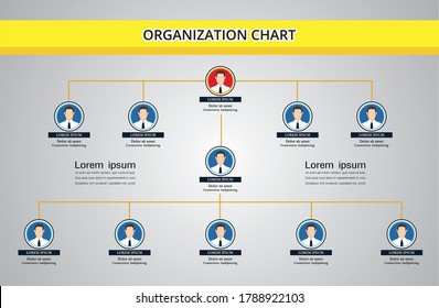 Organization Chart Infographics With People Icon And Abstract Line, Business Structure, Hierarchy Of Employees, Org  Vector Illustration.