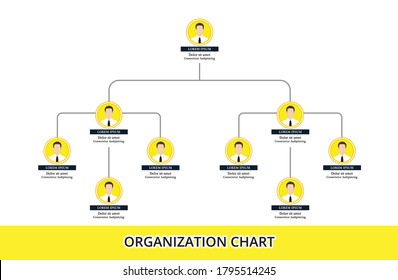 Organization Chart Infographics With People Icon And Abstract Line, Business Structure, Hierarchy Of Employees, Org  Vector Illustration.