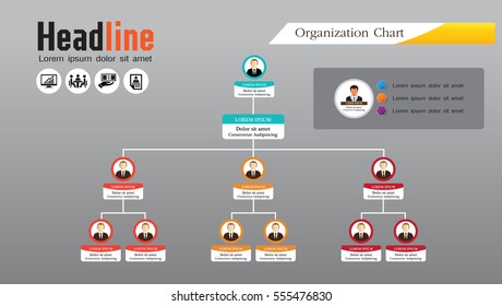 Organization Chart Infographics with People Icon and Abstract Line, Business Structure, Hierarchy of employees,org  Vector Illustration