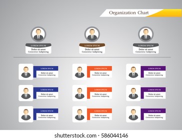 Organization Chart Infographics with People Icon and Abstract Line, Business Structure, Hierarchy of employees, org  Vector Illustration.